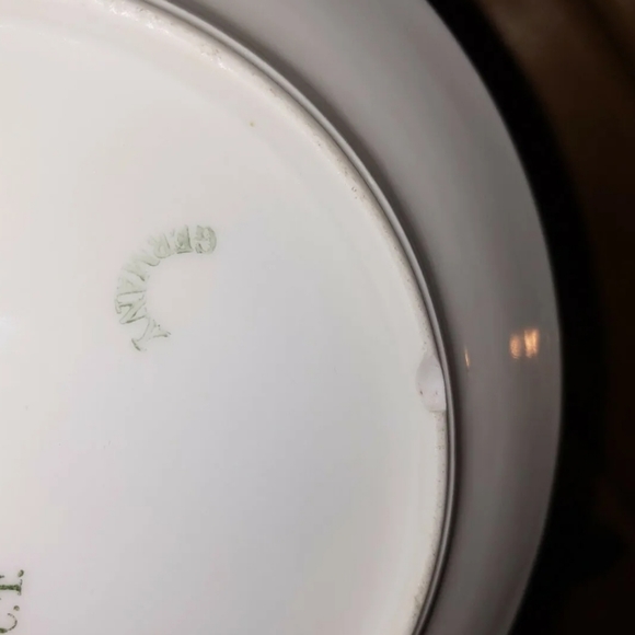 Antique Carl Tielsch (CT) Altwasser of Silesia China Salad Plate Set Lustreware - Picture 10 of 12